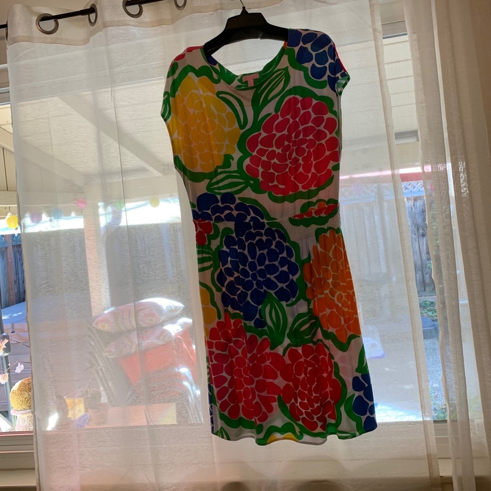 Sleeveless Lilly Pulitzer dress